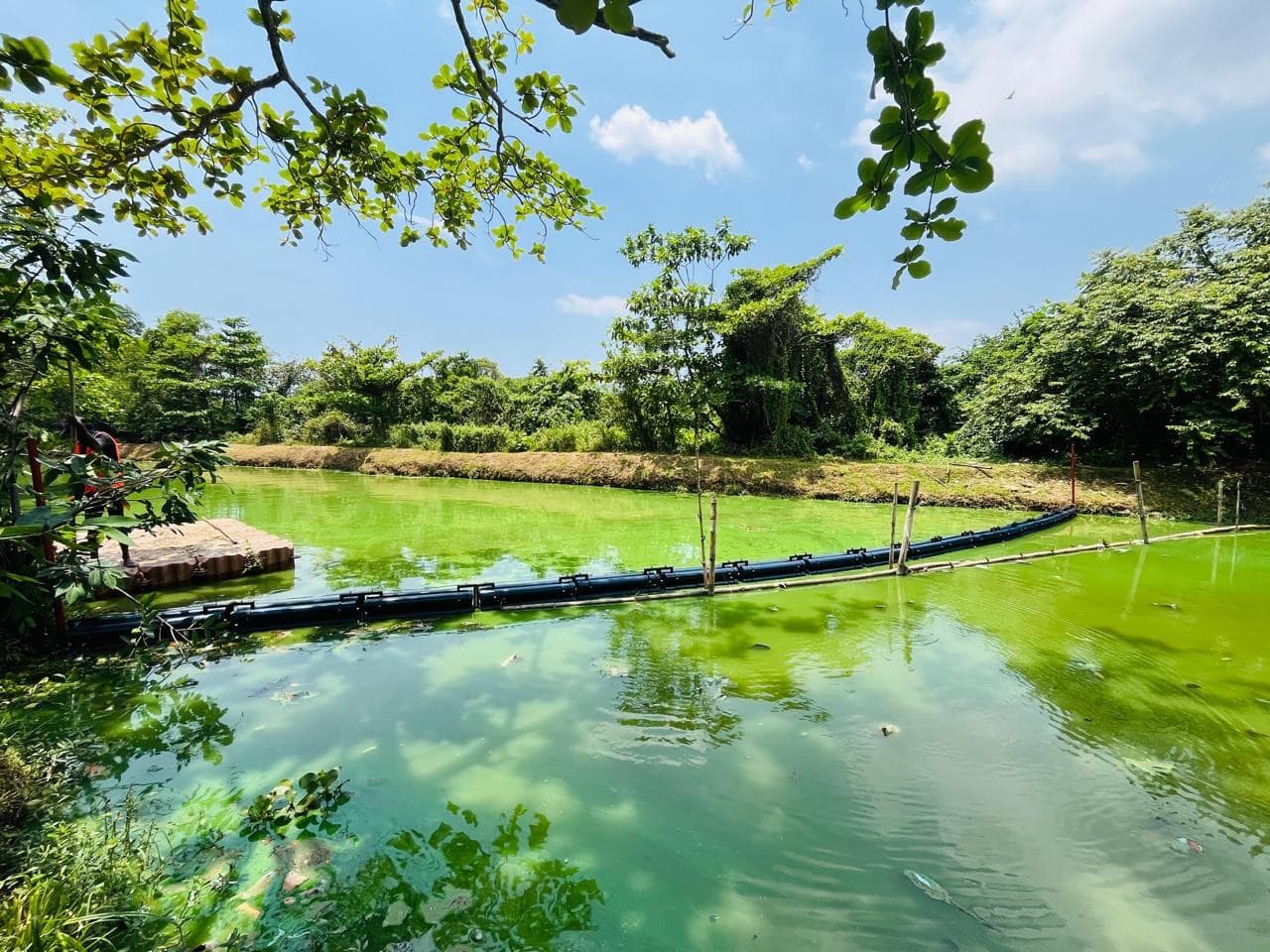 An NRC river boom stretched across a waterway, holding back floating plastic.