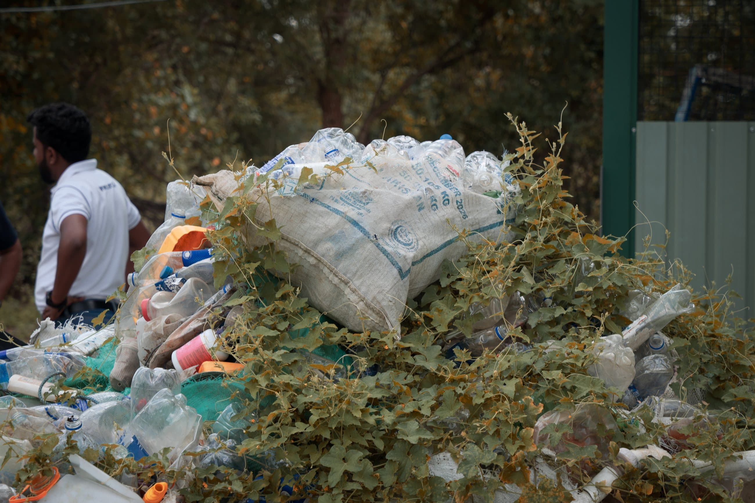 Sacks of recovered plastic bottles reclaimed from under creeping overgrowth.